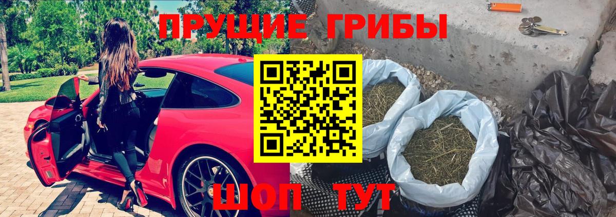 Галлюциногенные грибы Cubensis  Псилоцибиновые грибы GOLDEN TEACHER  Вход с VPN  Советский 